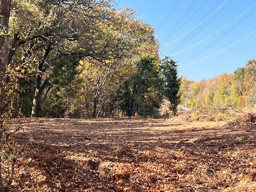 1922 Walter Smith Road Azle, TX 76020 - Photo 3 of 12 View of wooded area