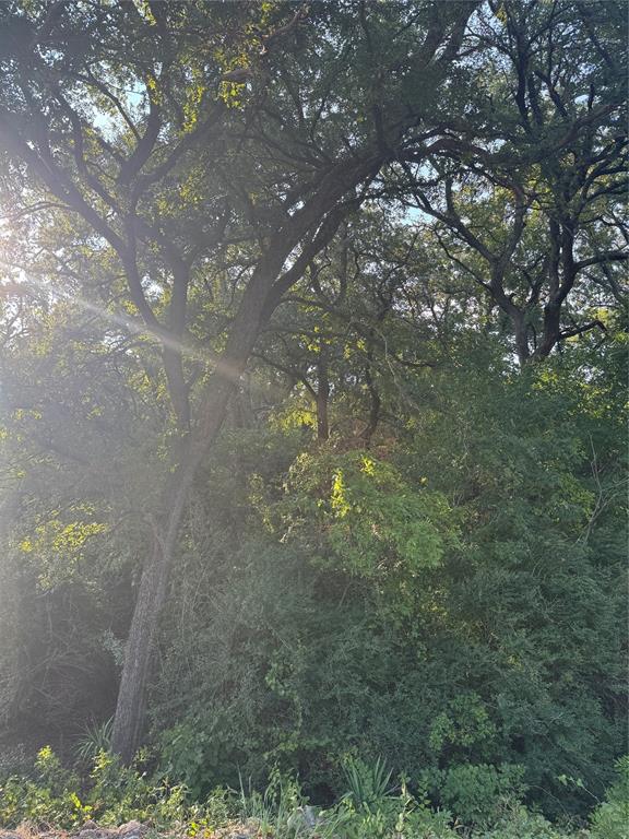 1922 Walter Smith Road Azle, TX 76020 - Photo 9 of 12 View of tree filled area