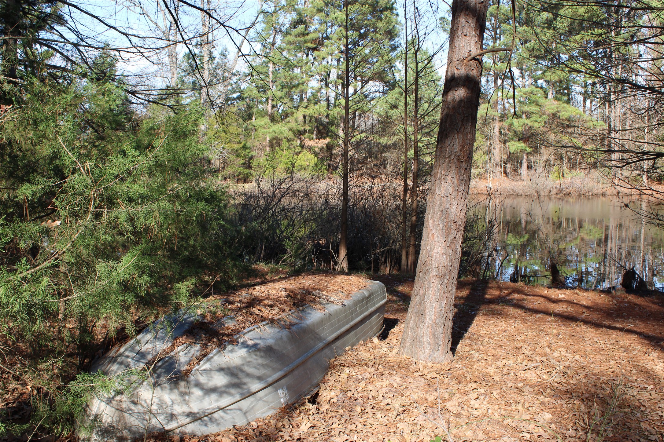 2801 Highway 11 Pittsburg, TX 75686 - Photo 12 of 31