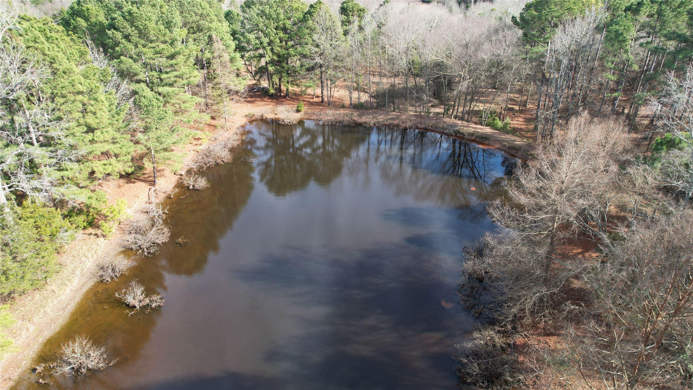 2801 Highway 11 Pittsburg, TX 75686 - Photo 13 of 31