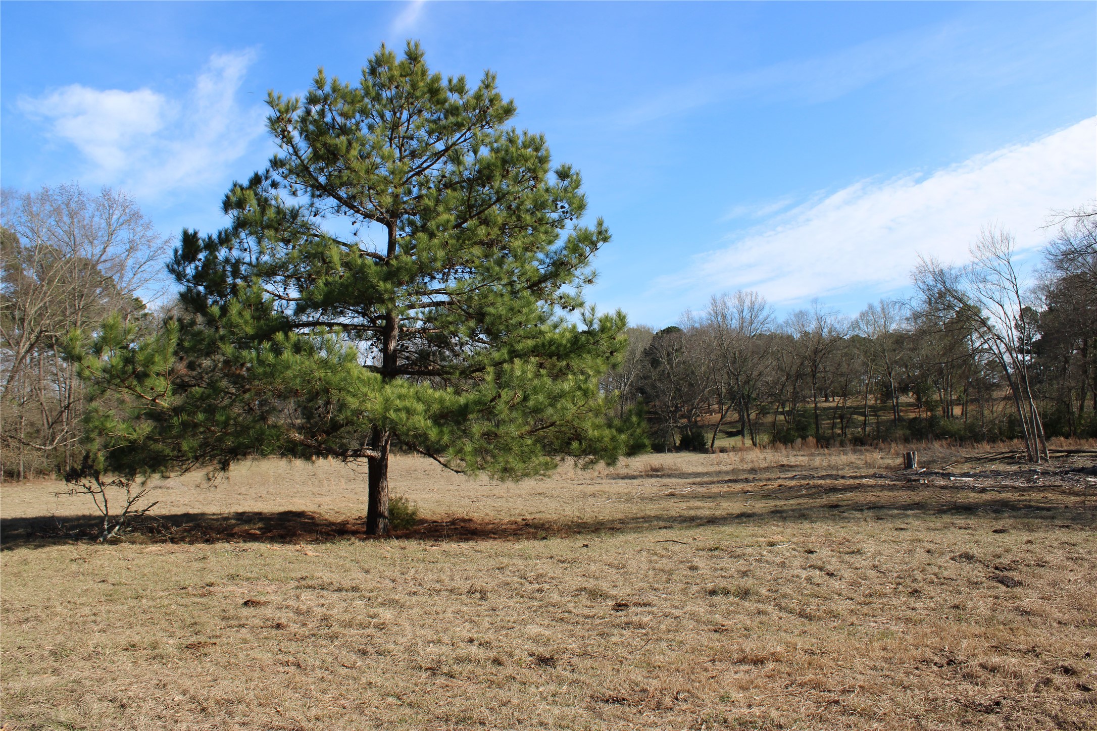 2801 Highway 11 Pittsburg, TX 75686 - Photo 29 of 31