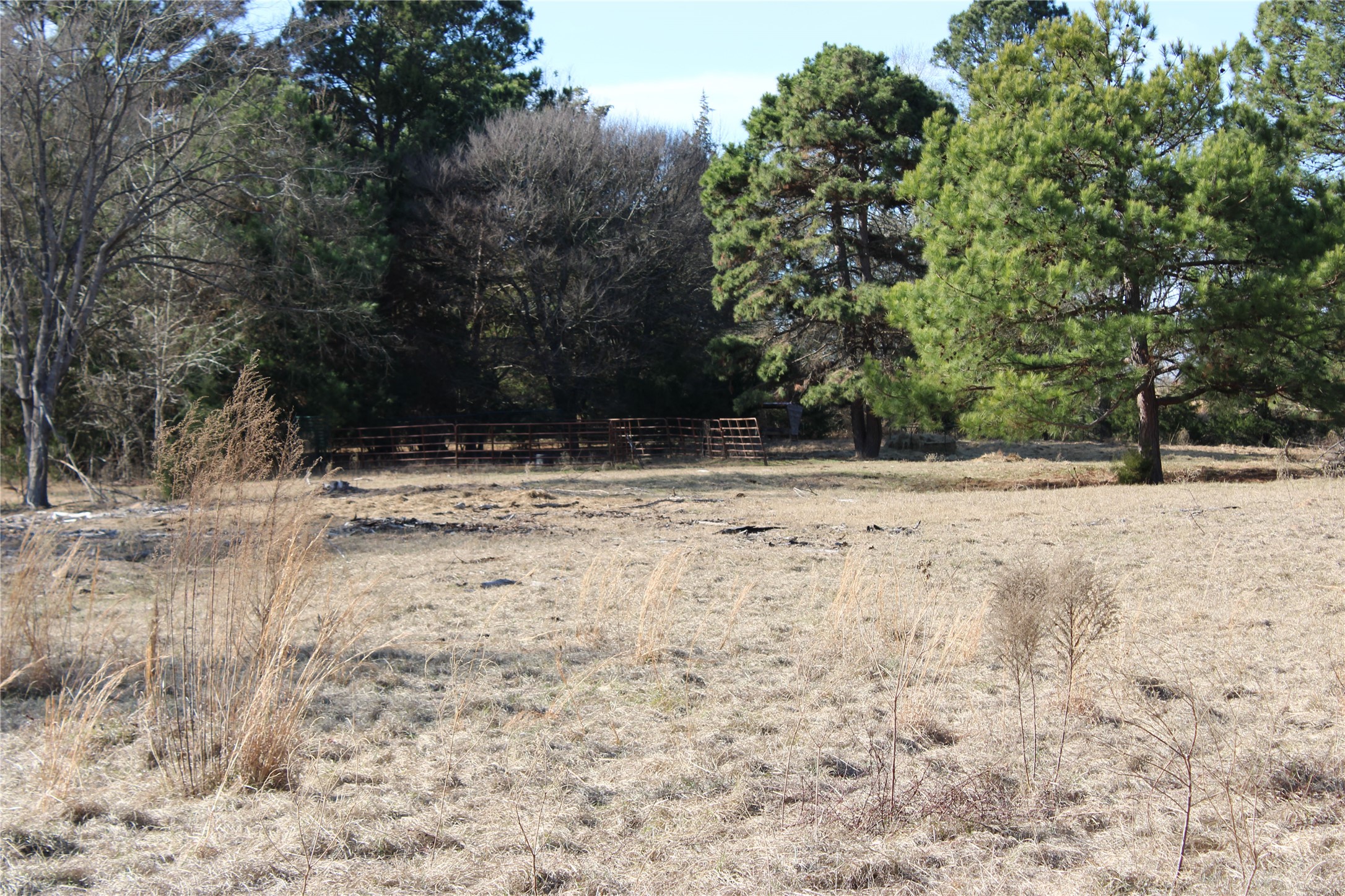 2801 Highway 11 Pittsburg, TX 75686 - Photo 30 of 31