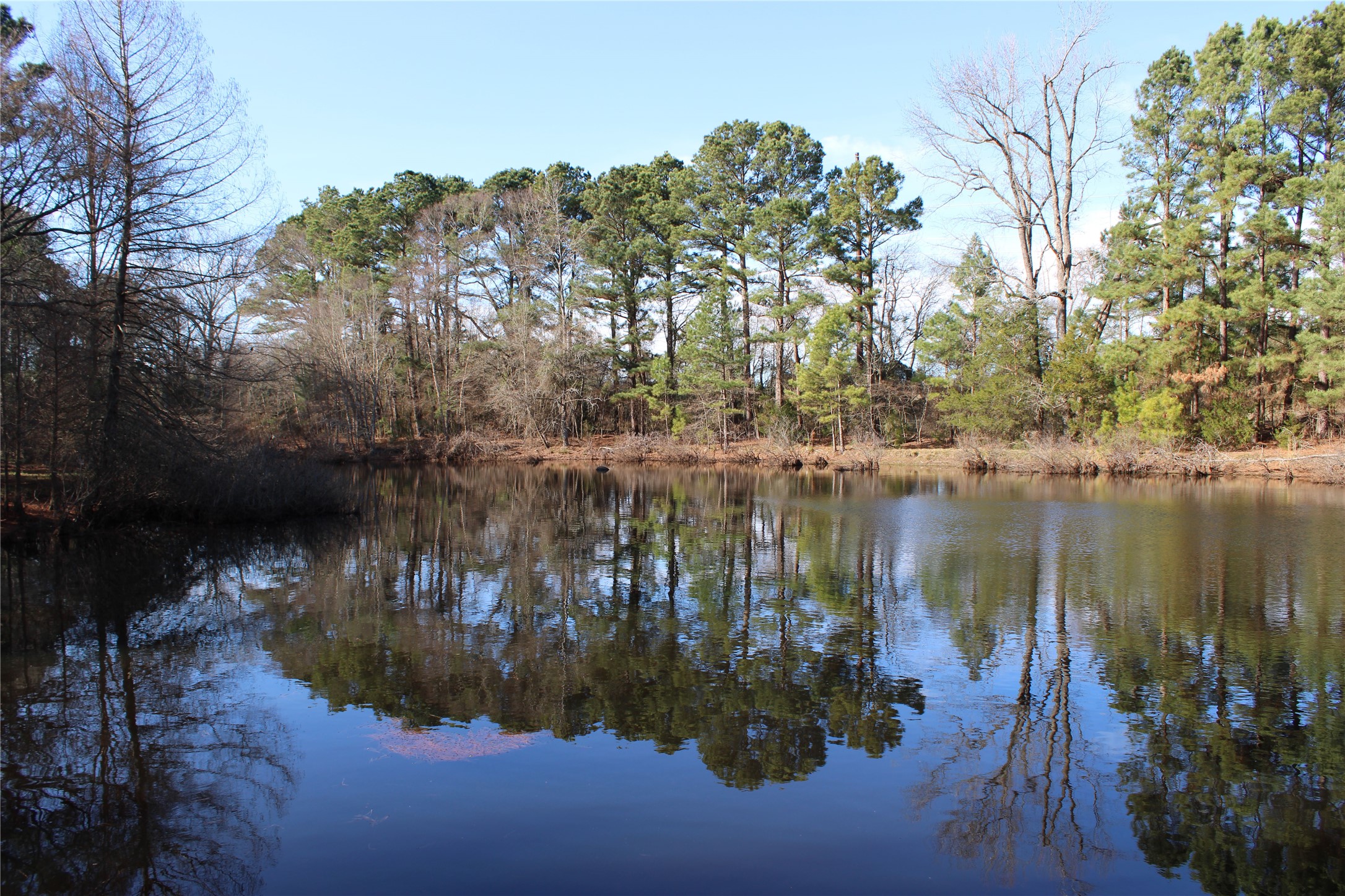 2801 Highway 11 Pittsburg, TX 75686 - Photo 5 of 31