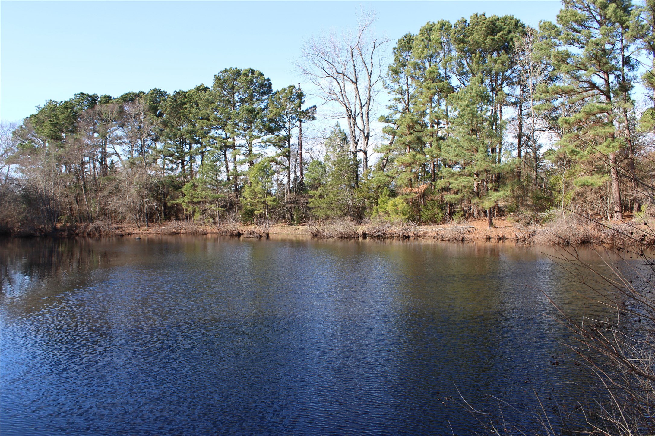 2801 Highway 11 Pittsburg, TX 75686 - Photo 6 of 31