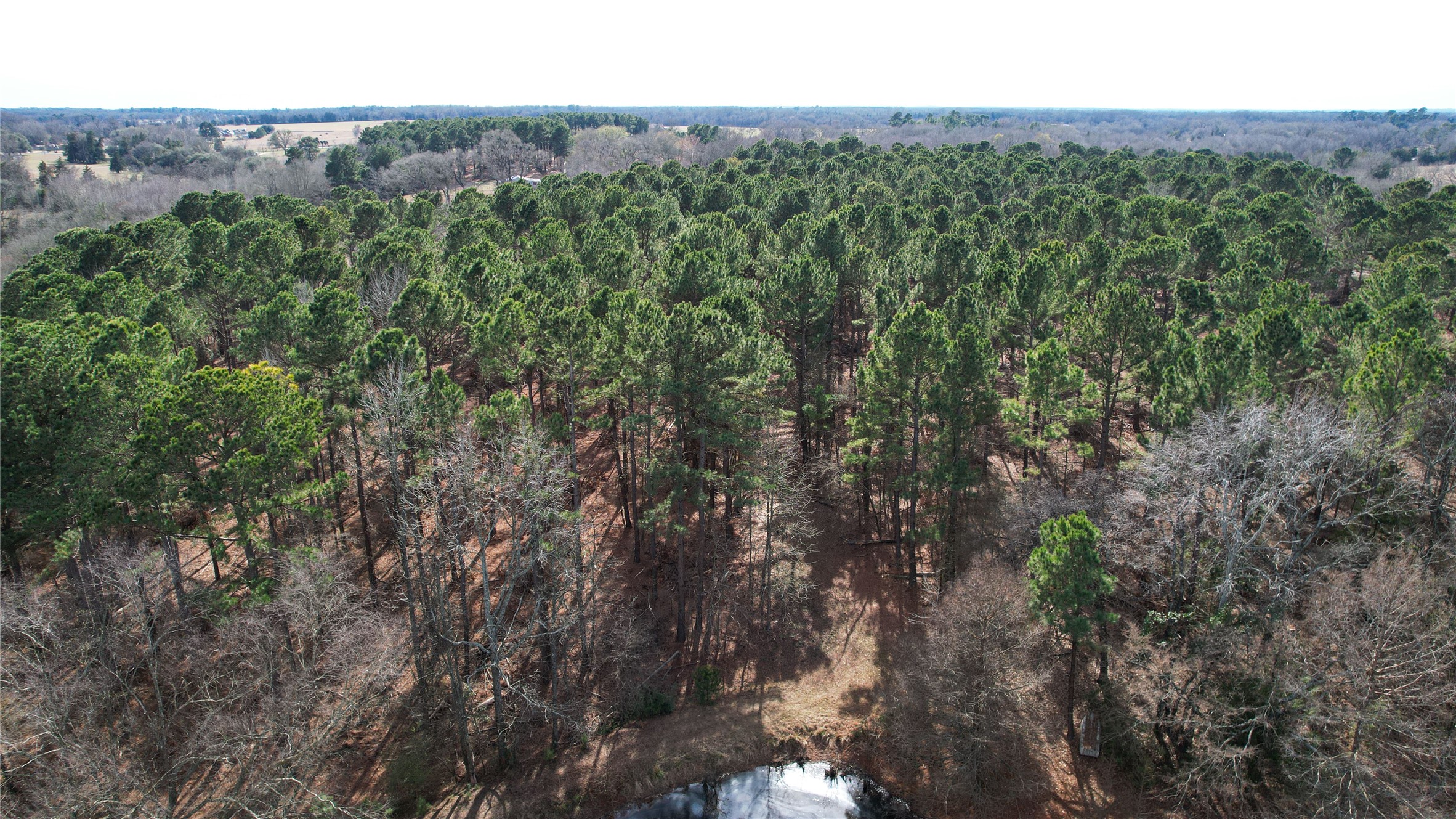 2801 Highway 11 Pittsburg, TX 75686 - Photo 7 of 31