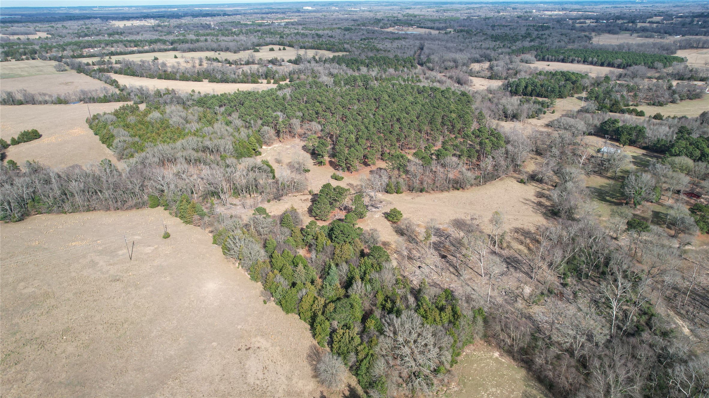 2801 Highway 11 Pittsburg, TX 75686 - Photo 8 of 31