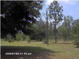 10122 R Silver Lake Road Fountain, FL 32438 - Photo 3 of 3 Gallery Image 3