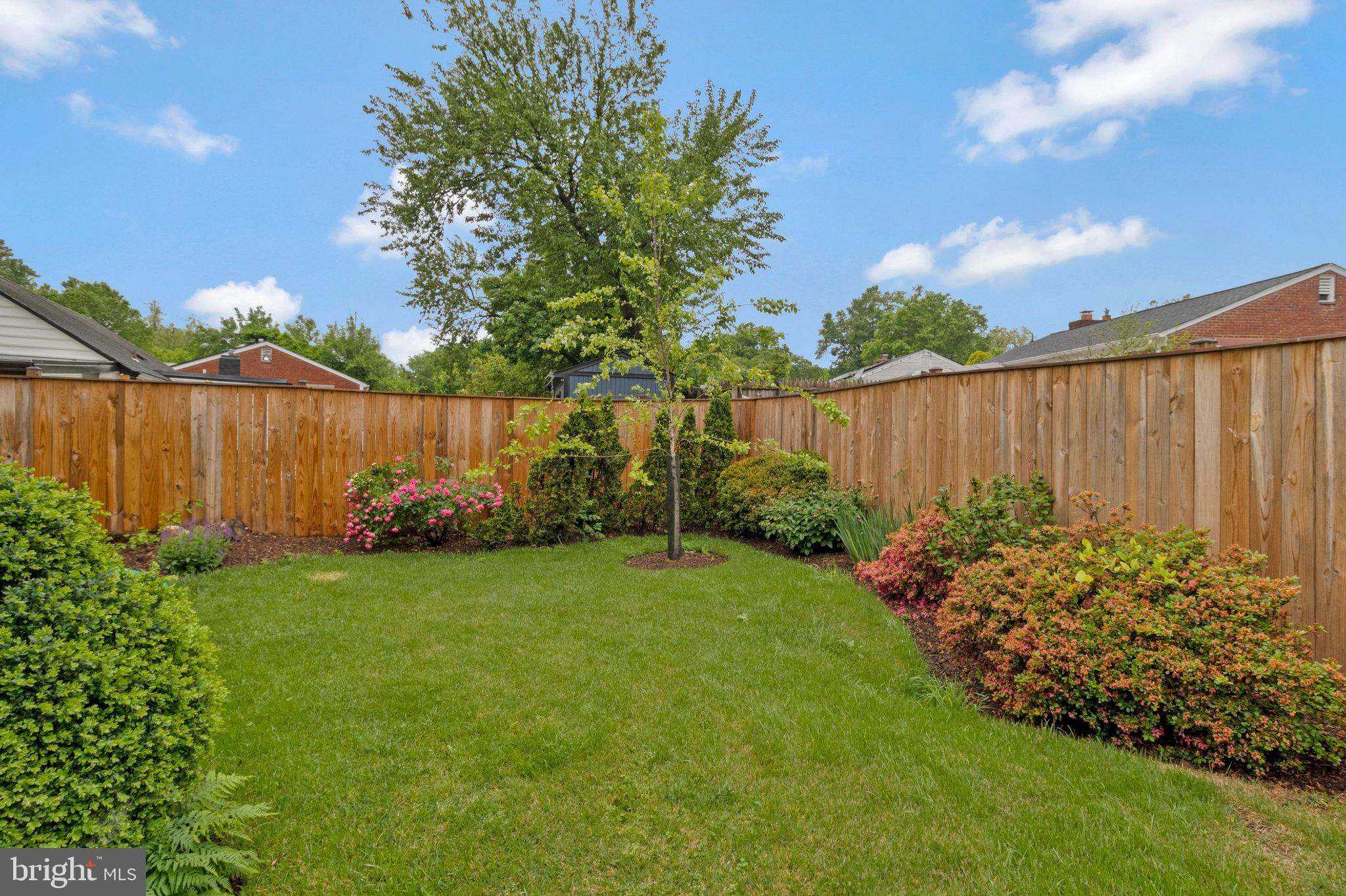 1907 Alberti Drive Silver Spring, MD 20902 - Photo 2 of 19 Fenced Backyard