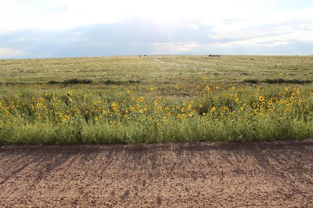 0 Whittemore Road Yoder, CO 80864 - Photo 3 of 3 Gallery Image 3