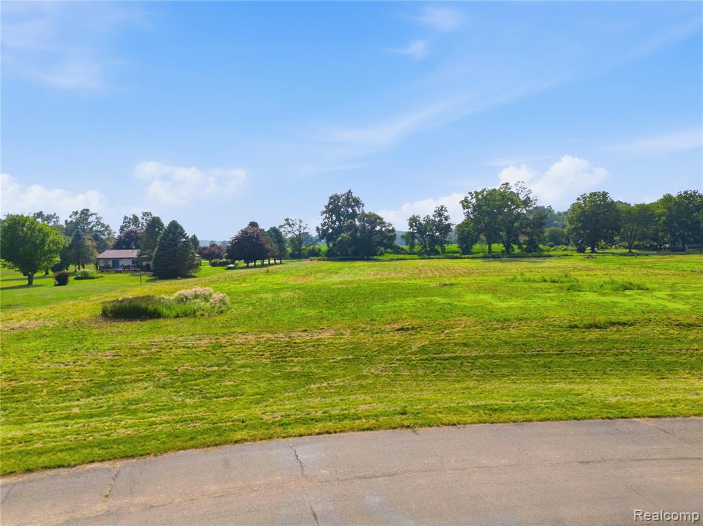 0 Gregory Ridge Road Fowlerville, MI 48836 - Photo 8 of 11