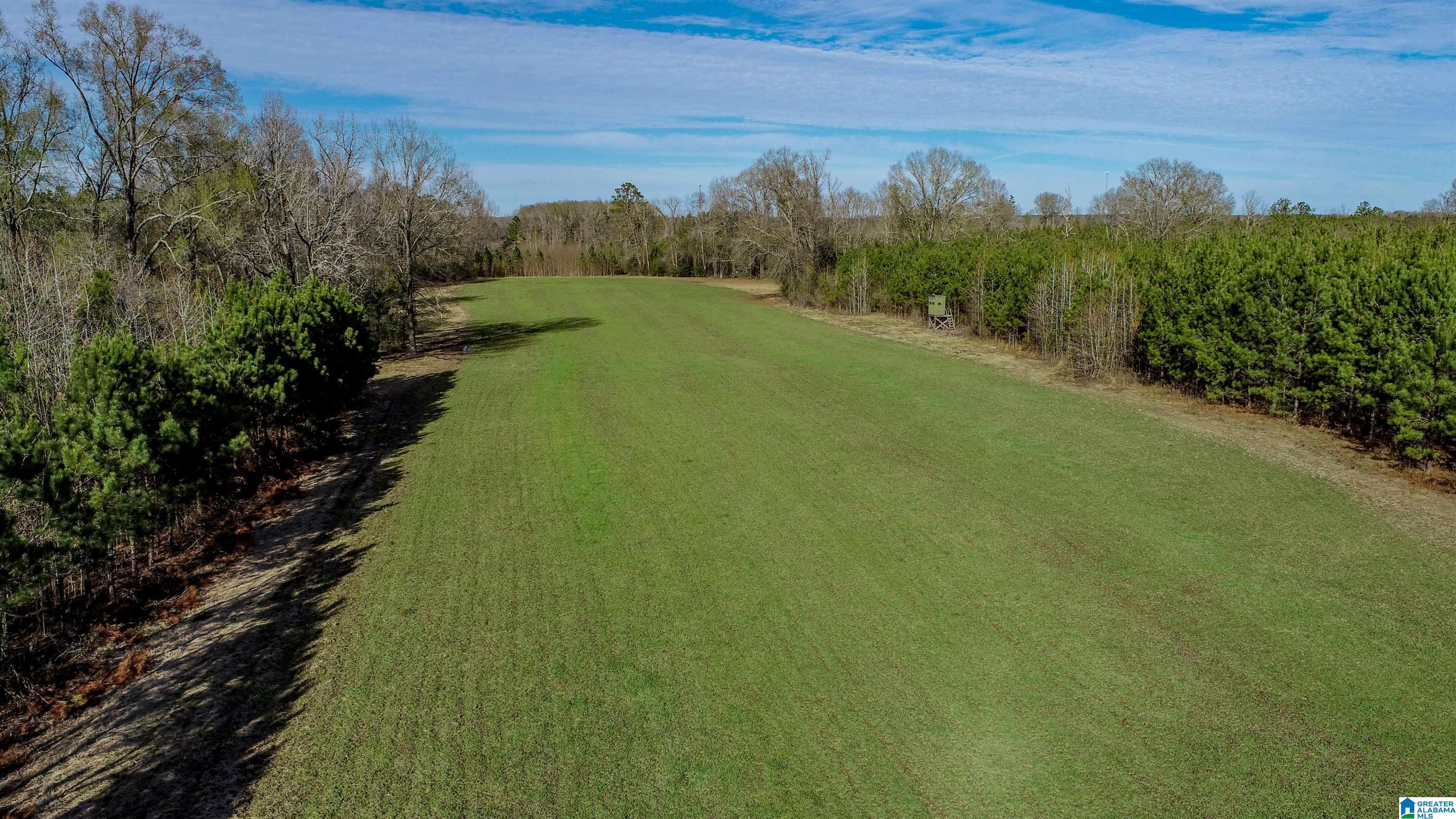 8619 County Road 33 Linden, AL 36748 - Photo 19 of 54