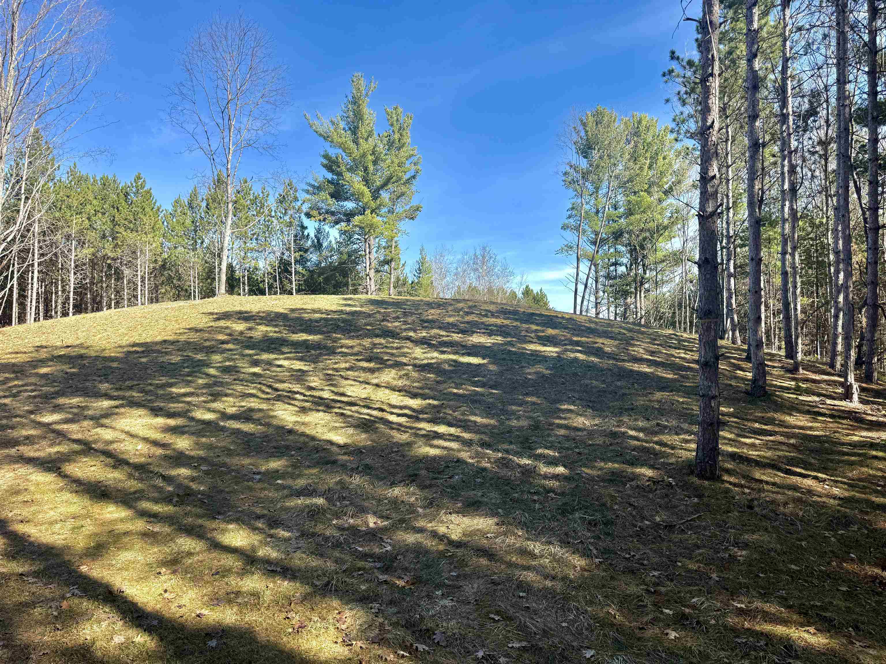 3041 Dockery Road East, Unit LOT: 2 Williamsburg, MI 49690 - Photo 9 of 18