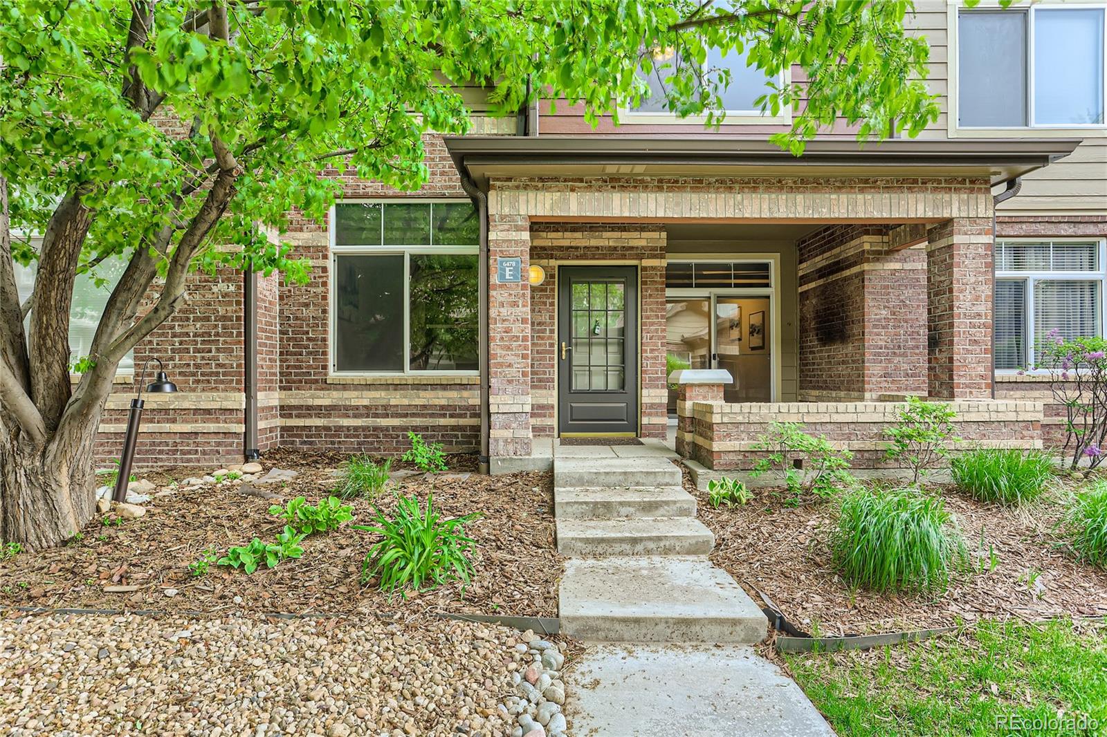 a view of a house with potted plants and a large tree