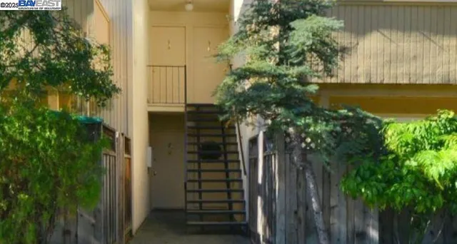 a view of a pathway of a house with a trees