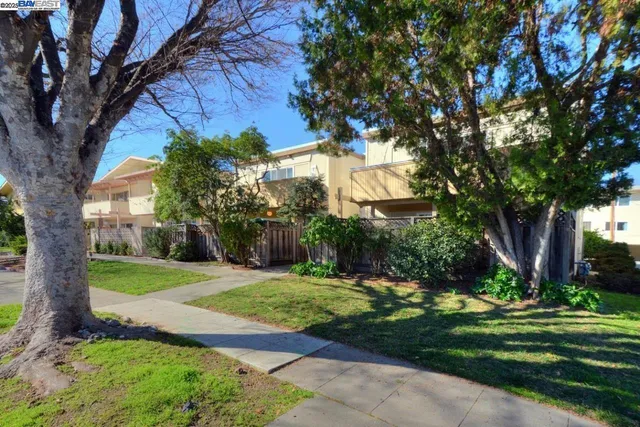 a view of a backyard with a garden