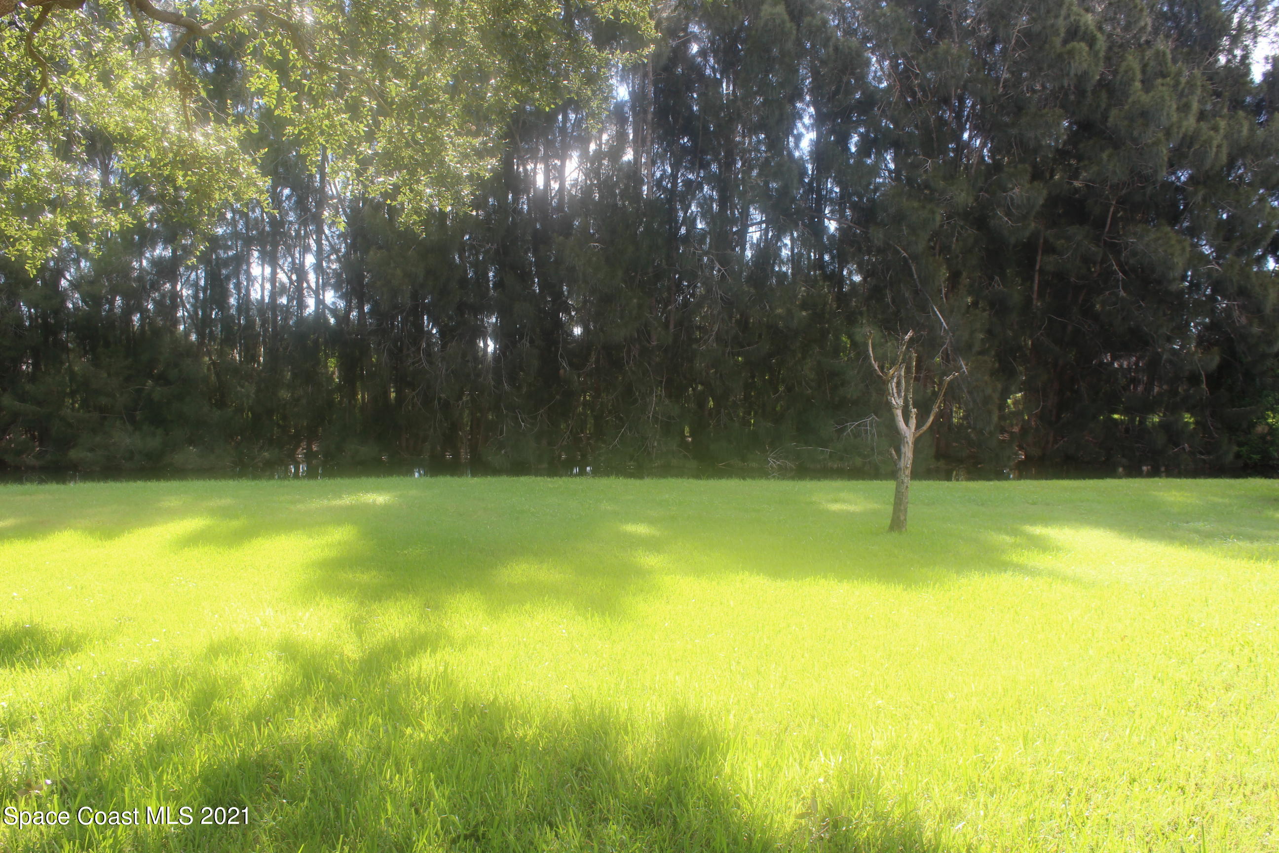 3067 Temple Lane North Rockledge, FL 32955 - Photo 17 of 19 1/2 Acre Yard