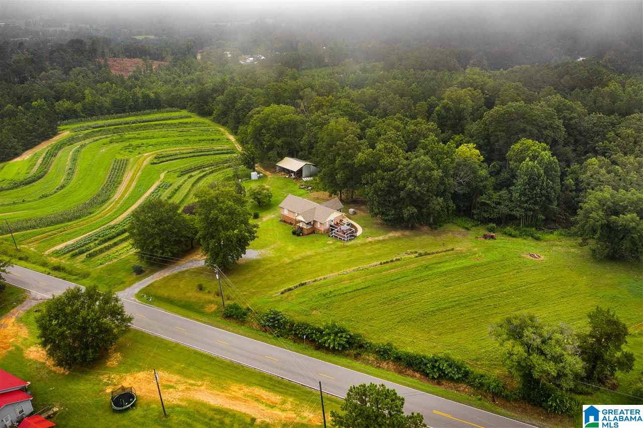 3408 Highway 1 Oneonta Al Oneonta, AL 35121 - Photo 49 of 50