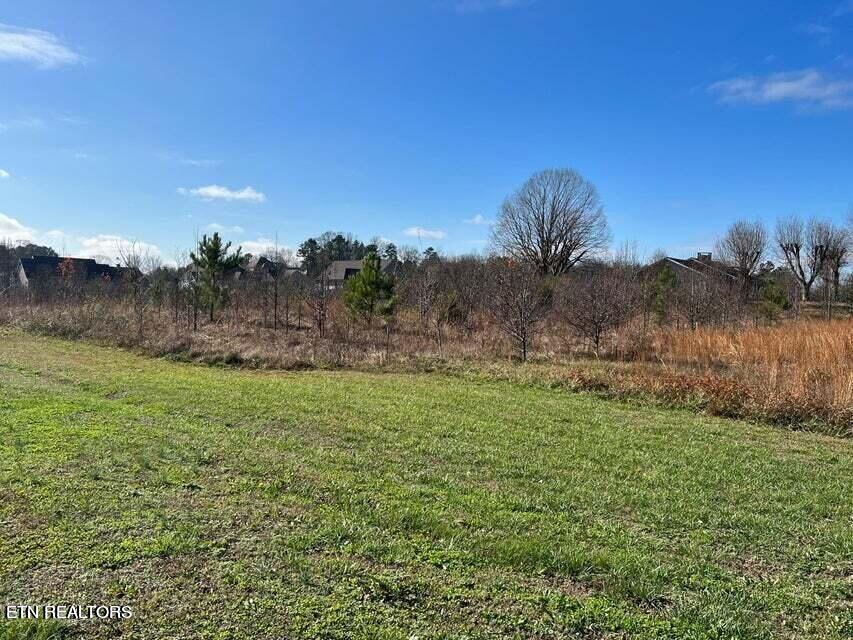 49 Lexington Stop Drive Rock Spring, GA 30739 - Photo 2 of 3 20231119011923820521000000-o