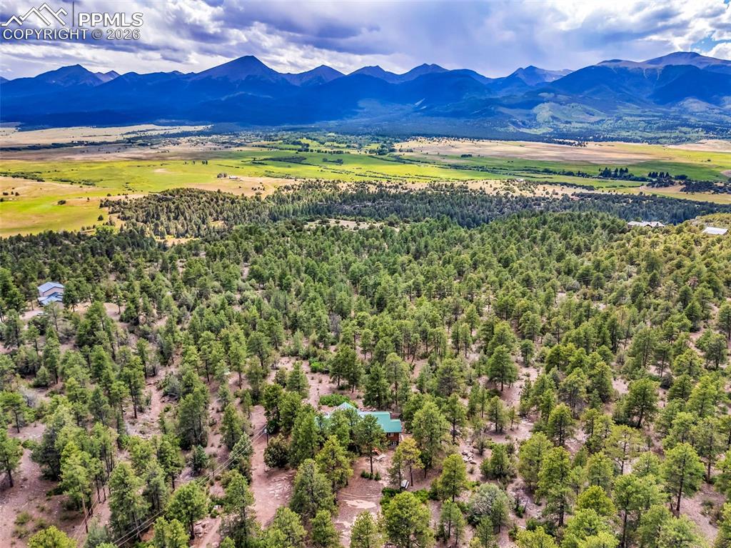 209 Rosewood Road Westcliffe, CO 81252 - Photo 44 of 49 Trees limit views of neighboring homes