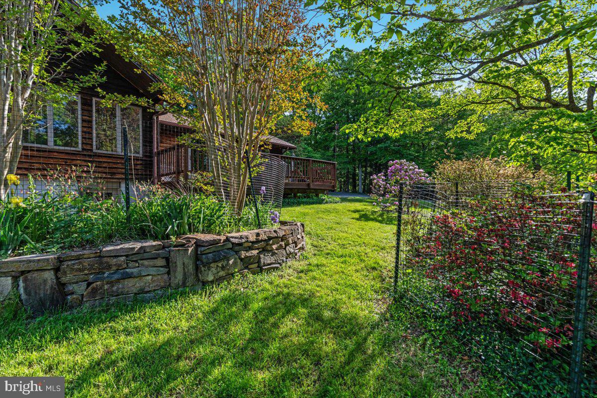 146 Lizzie Mills Road Castleton, VA 22716 - Photo 39 of 91 a backyard of a house with lots of green space