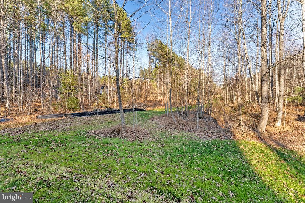 2770 Fredericks Hall Road Mineral, VA 23117 - Photo 57 of 57 a view of backyard with green space