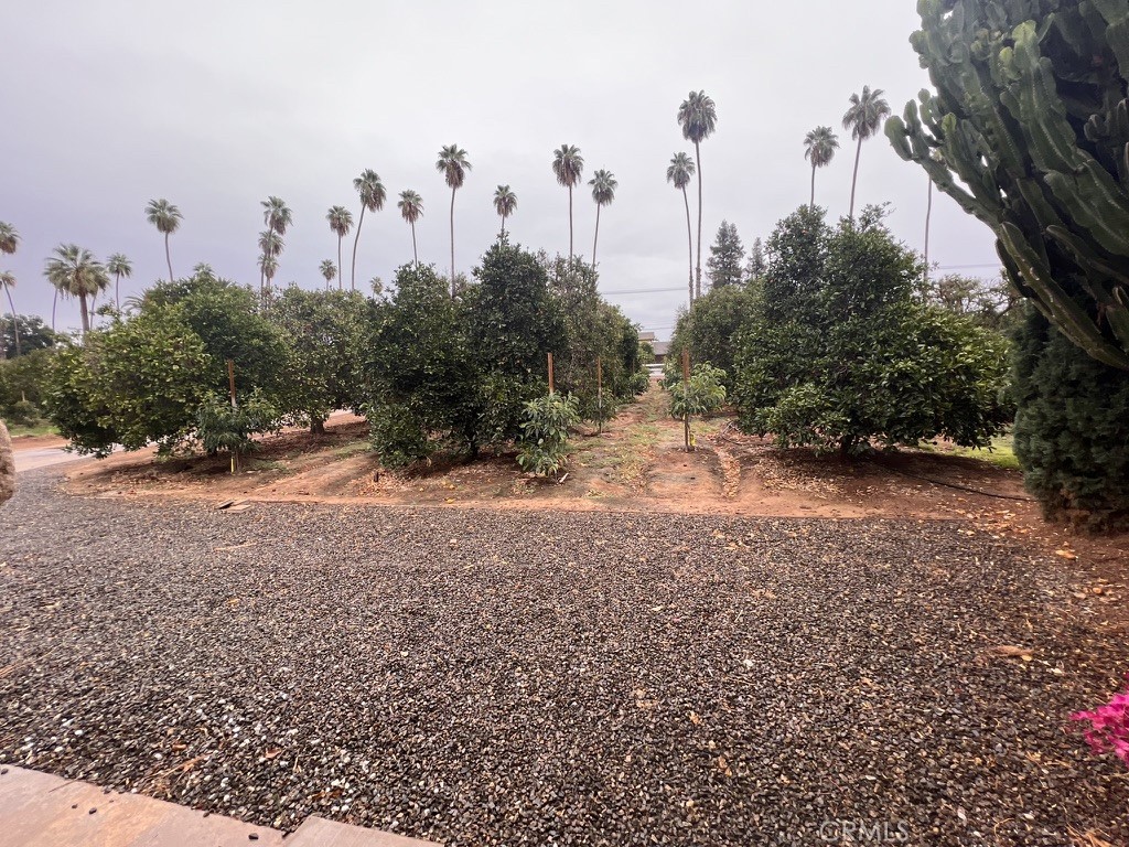 8715 Dufferin Avenue Riverside, CA 92504 - Photo 25 of 27 a view of a road with tall trees