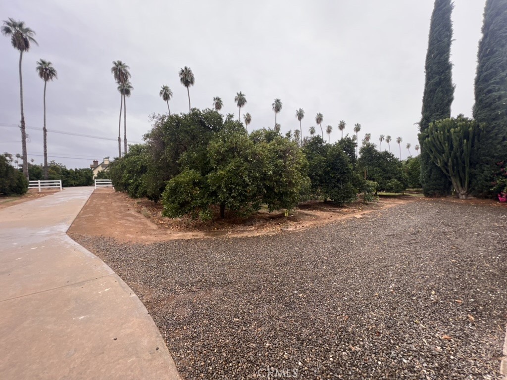 8715 Dufferin Avenue Riverside, CA 92504 - Photo 26 of 27 a view of a grassy area with trees in the background