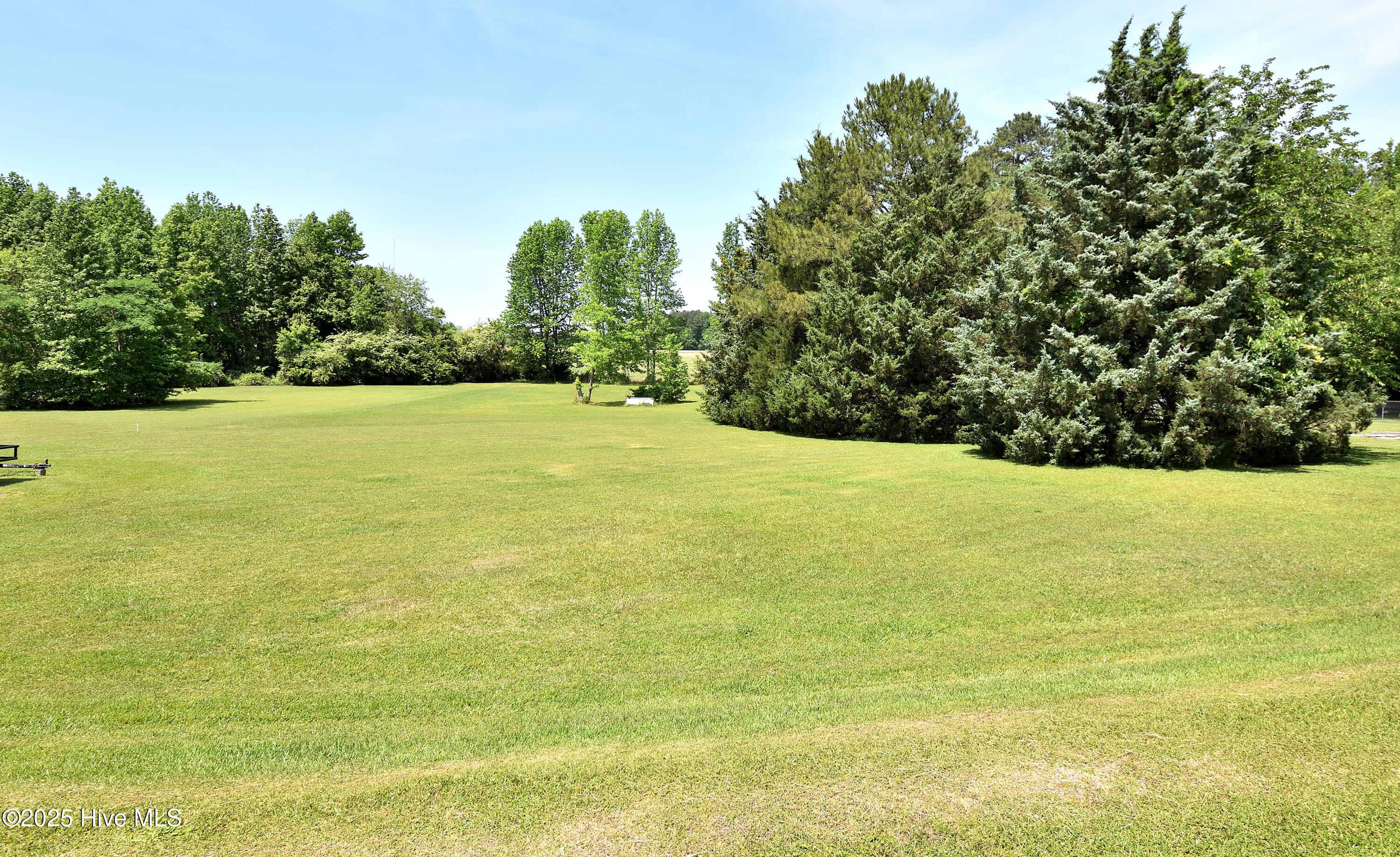 1424 Wood Duck Road Elm City, NC 27822 - Photo 35 of 38 Back yard