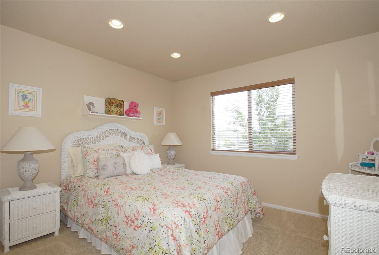 10982 Ashurst Lane Highlands Ranch, CO 80130 - Photo 24 of 32 Gallery Image 24