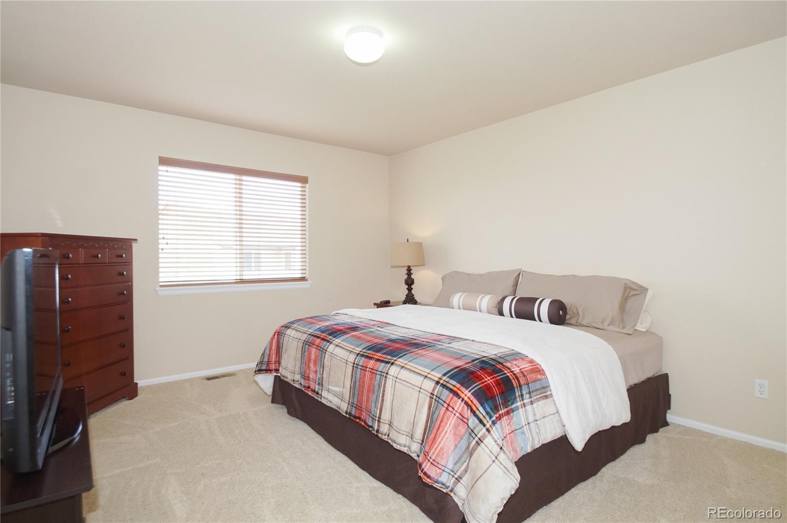 10982 Ashurst Lane Highlands Ranch, CO 80130 - Photo 27 of 32 Gallery Image 27