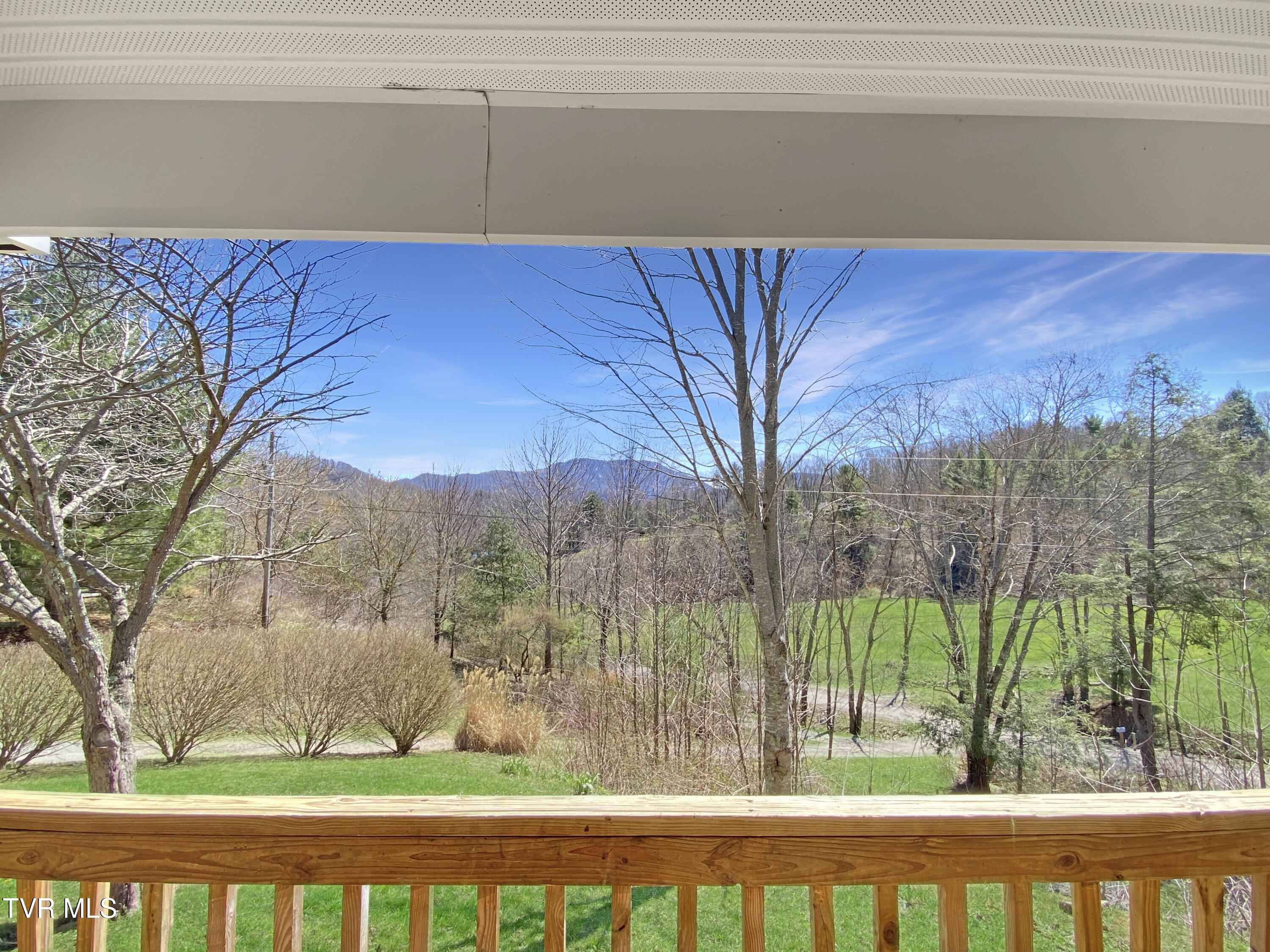 302 Grover Reece Road Trade, TN 37691 - Photo 20 of 29 20 - View from the Front Porch