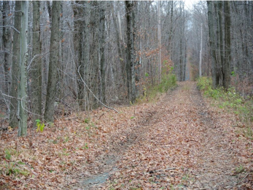 0 Methodist Hill Road Enfield, NH 03748 - Photo 1 of 1 Gallery Image 1