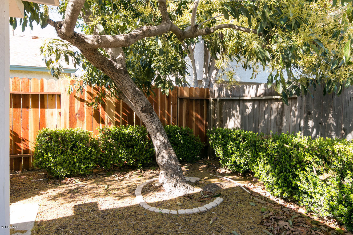 155 Ripley Street Camarillo, CA 93010 - Photo 21 of 22 155 Ripley St-MLS_Size-021-20-Avocado Tr