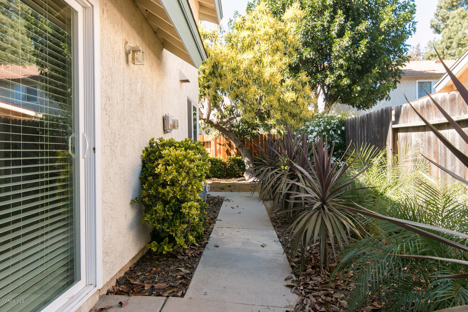 155 Ripley Street Camarillo, CA 93010 - Photo 22 of 22 155 Ripley St-MLS_Size-022-21-Side Yard-