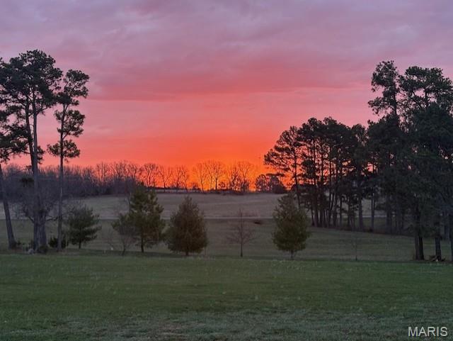 13033 Shafer Road Licking, MO 65542 - Photo 53 of 60
