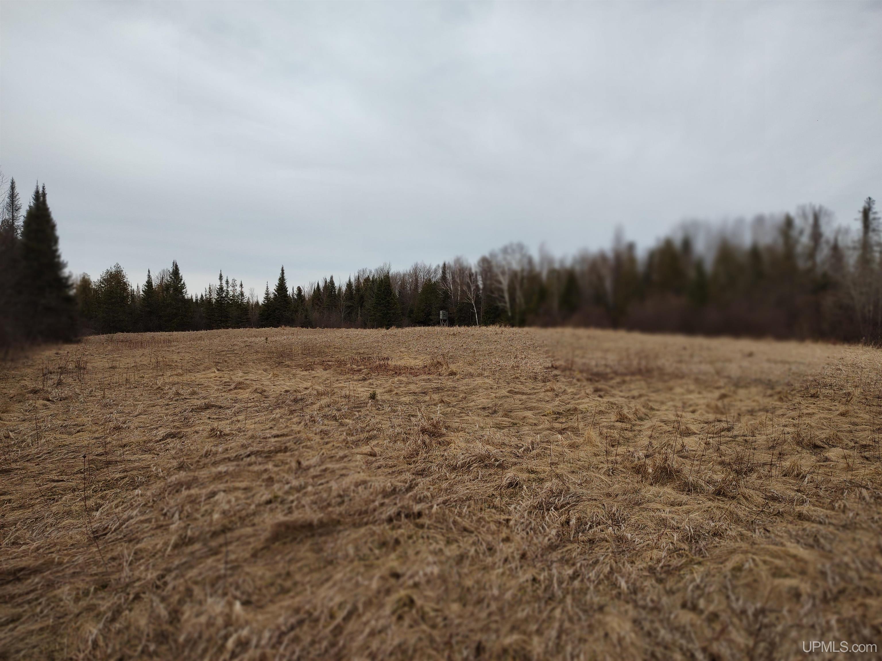 40-acres Trombley 35th Road Rock, MI 49880 - Photo 33 of 62
