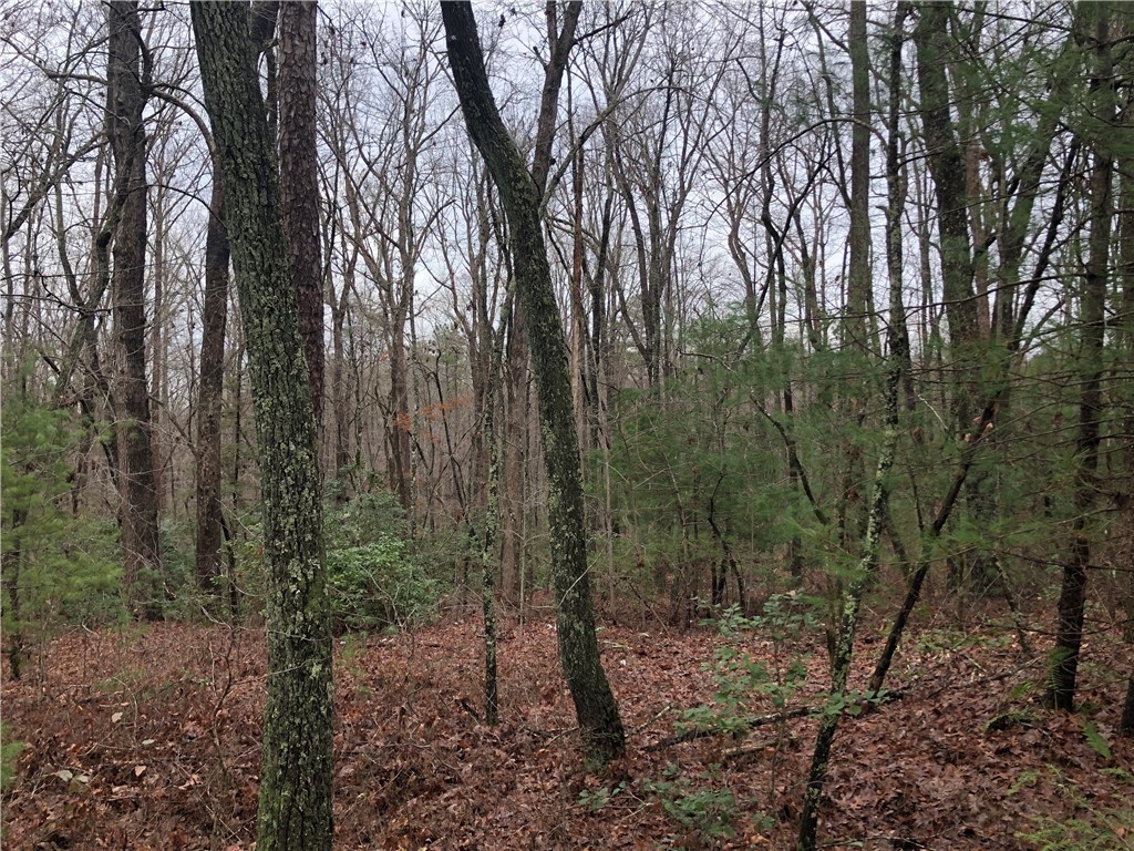 0 Whetstone Road Mountain Rest, SC 29664 - Photo 5 of 12 Gallery Image 5