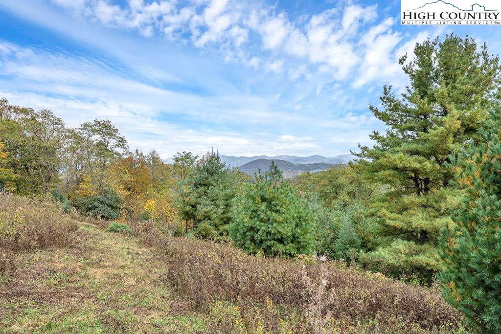 Tbd Lot 25 Tbd Trail Boone, NC 28607 - Photo 2 of 9 a view of a bunch of trees