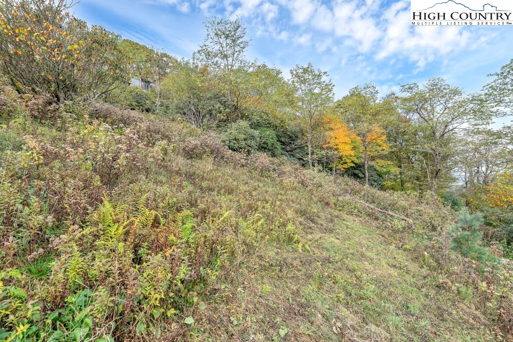 Tbd Lot 25 Tbd Trail Boone, NC 28607 - Photo 3 of 9 a view of a forest with a yard