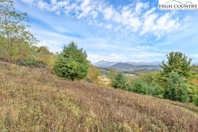 a view of a yard with an trees