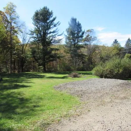 a view of a yard with a trees