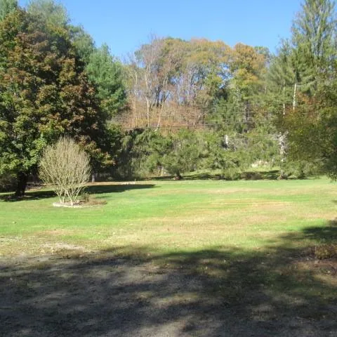 a view of a yard with an trees
