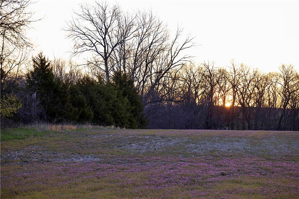 0 Williams Road Dearborn, MO 64439 - Photo 11 of 35