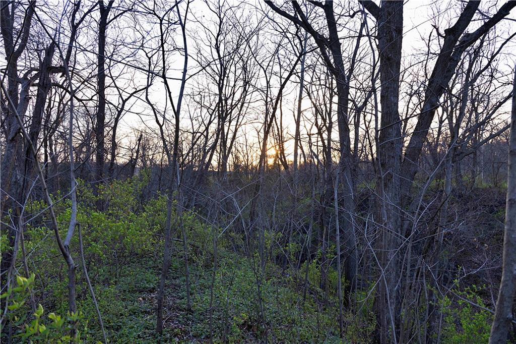 0 Williams Road Dearborn, MO 64439 - Photo 13 of 35