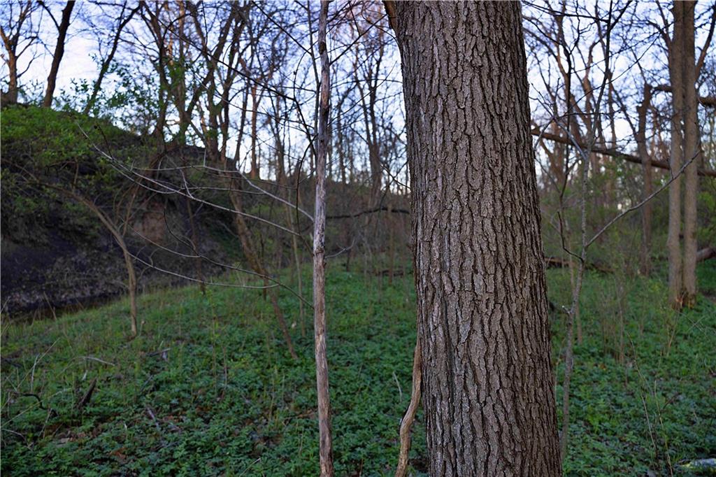 0 Williams Road Dearborn, MO 64439 - Photo 17 of 35