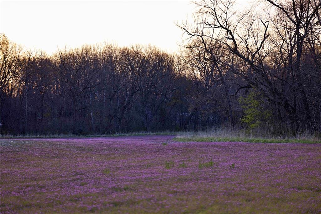 0 Williams Road Dearborn, MO 64439 - Photo 2 of 35