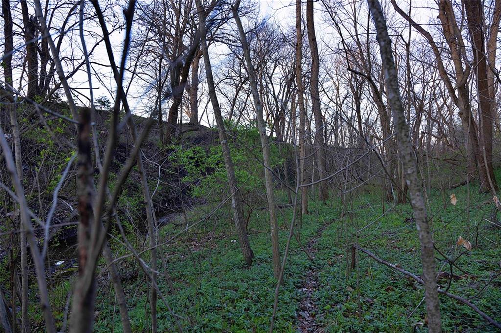 0 Williams Road Dearborn, MO 64439 - Photo 23 of 35