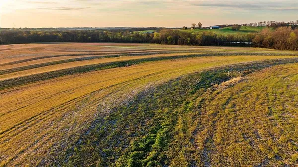 $599,500 | 0 Williams Road, Dearborn, MO 64439