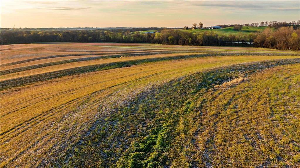 0 Williams Road Dearborn, MO 64439 - Photo 31 of 35