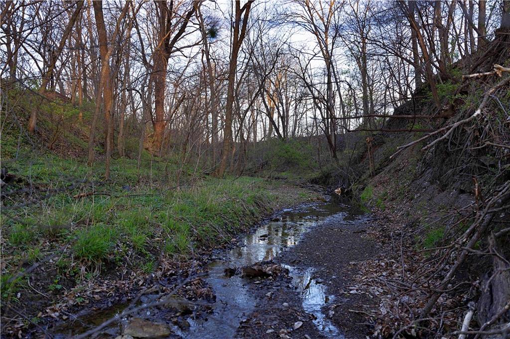 0 Williams Road Dearborn, MO 64439 - Photo 8 of 35